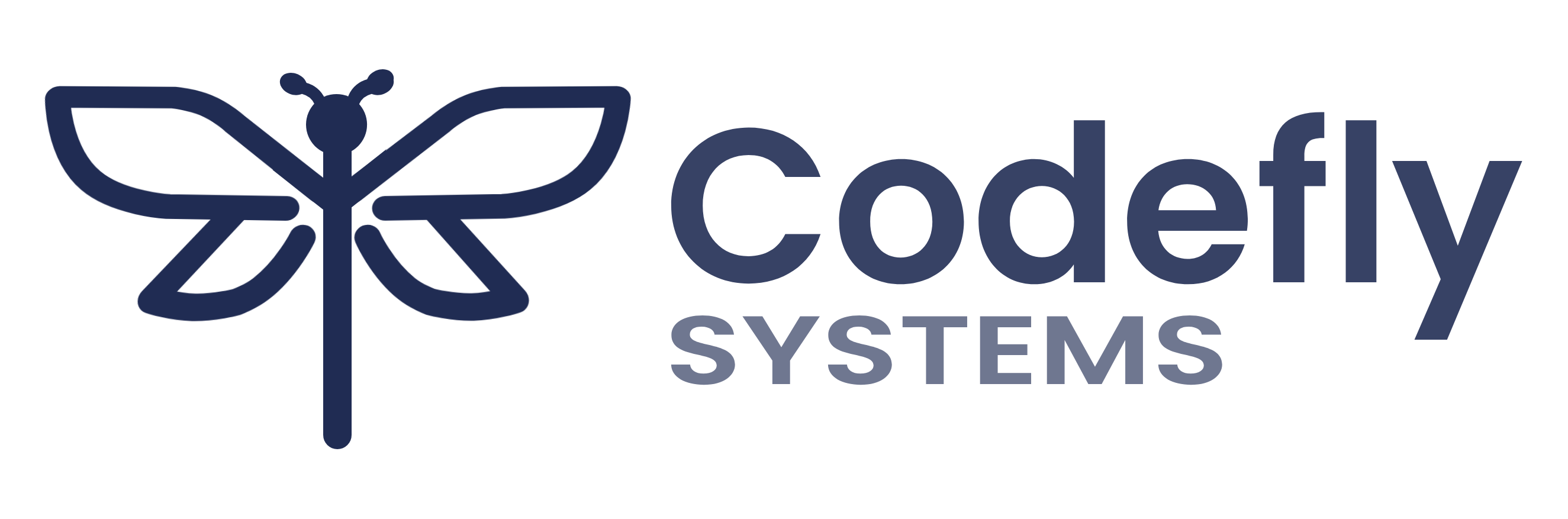 Codefly Systems Logo